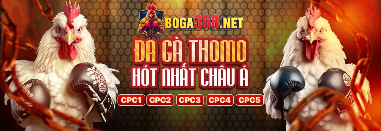 Tổng quan các loại ưu đãi 888ti