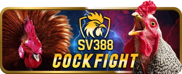 Hỗ trợ khách hàng và FAQ 888ti